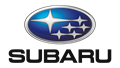 Logo of Subaru - Durban Airport